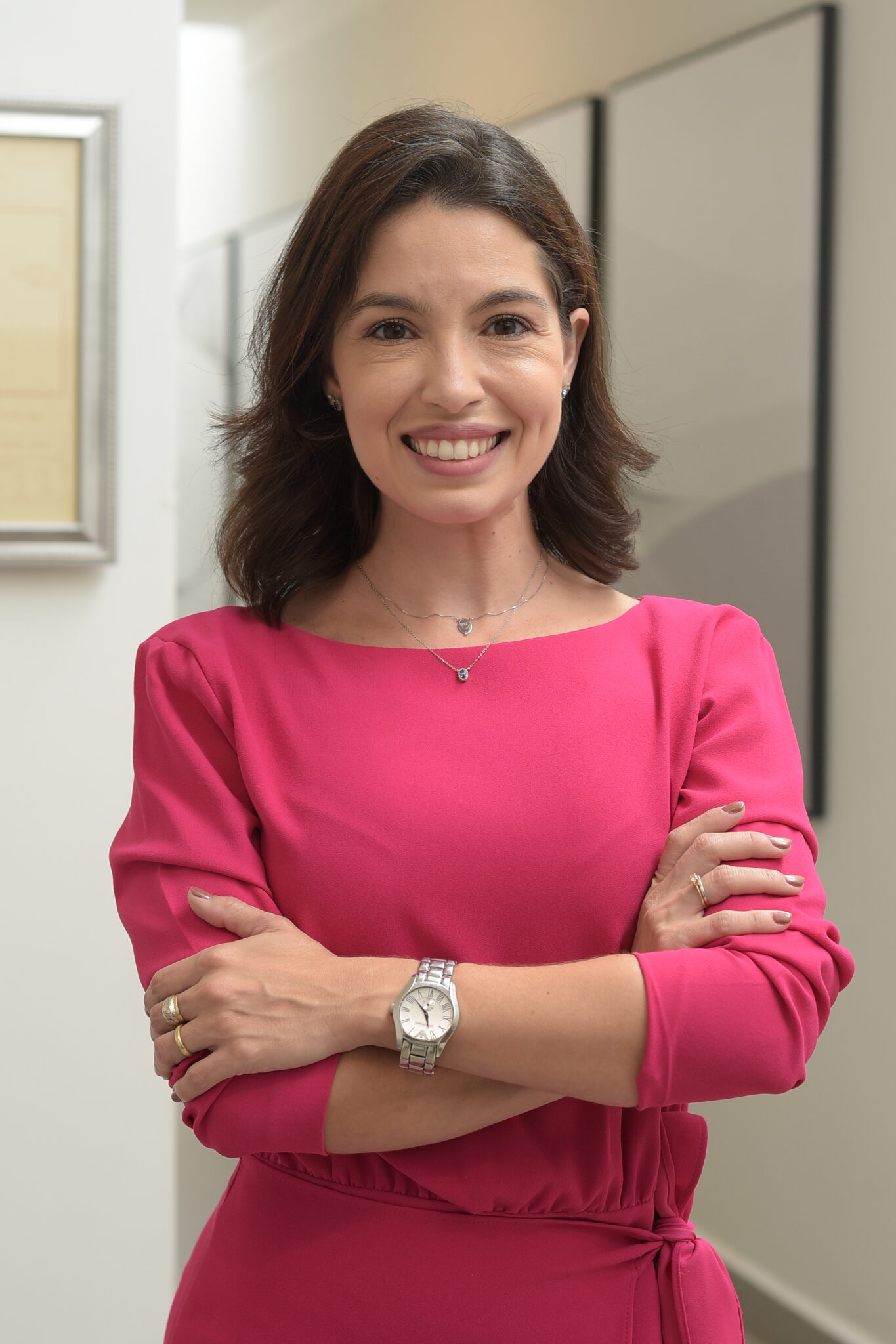 Ana Luiza-lp – Pages MCP